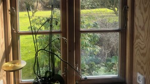 A room with a large window, a potted plant, and a lamp. - Casa de Rainer Tommerup (Tommerup)
