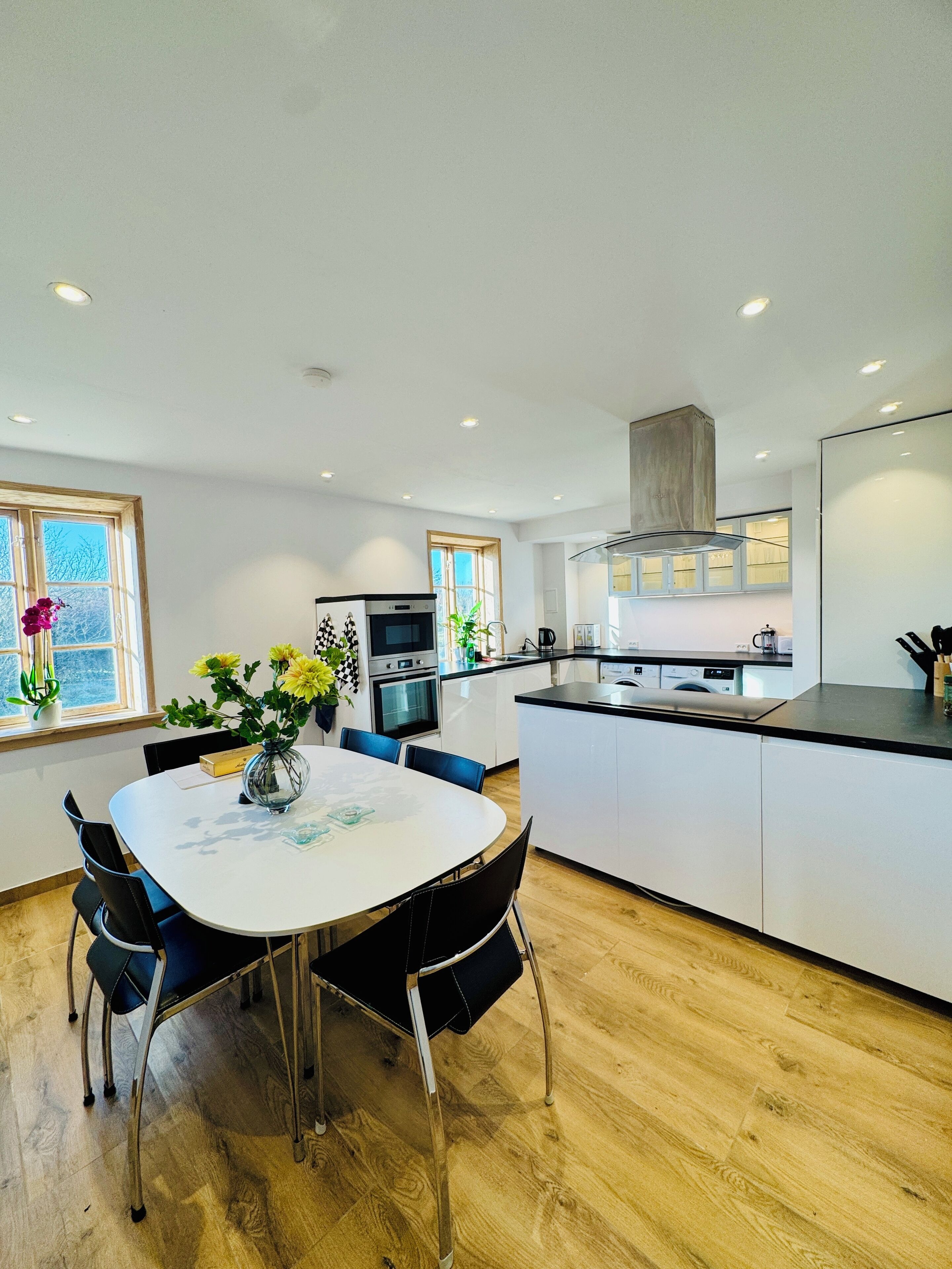 Oven, stovetop, dishwasher, electric kettle