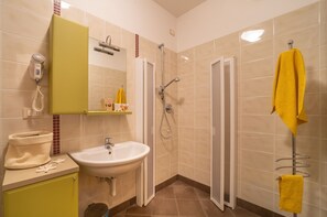 Shower, hair dryer, towels