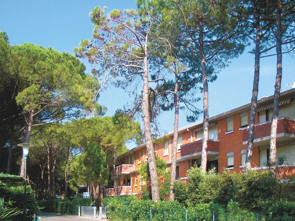 A multi-story building with a brick facade, surrounded by tall pine trees.