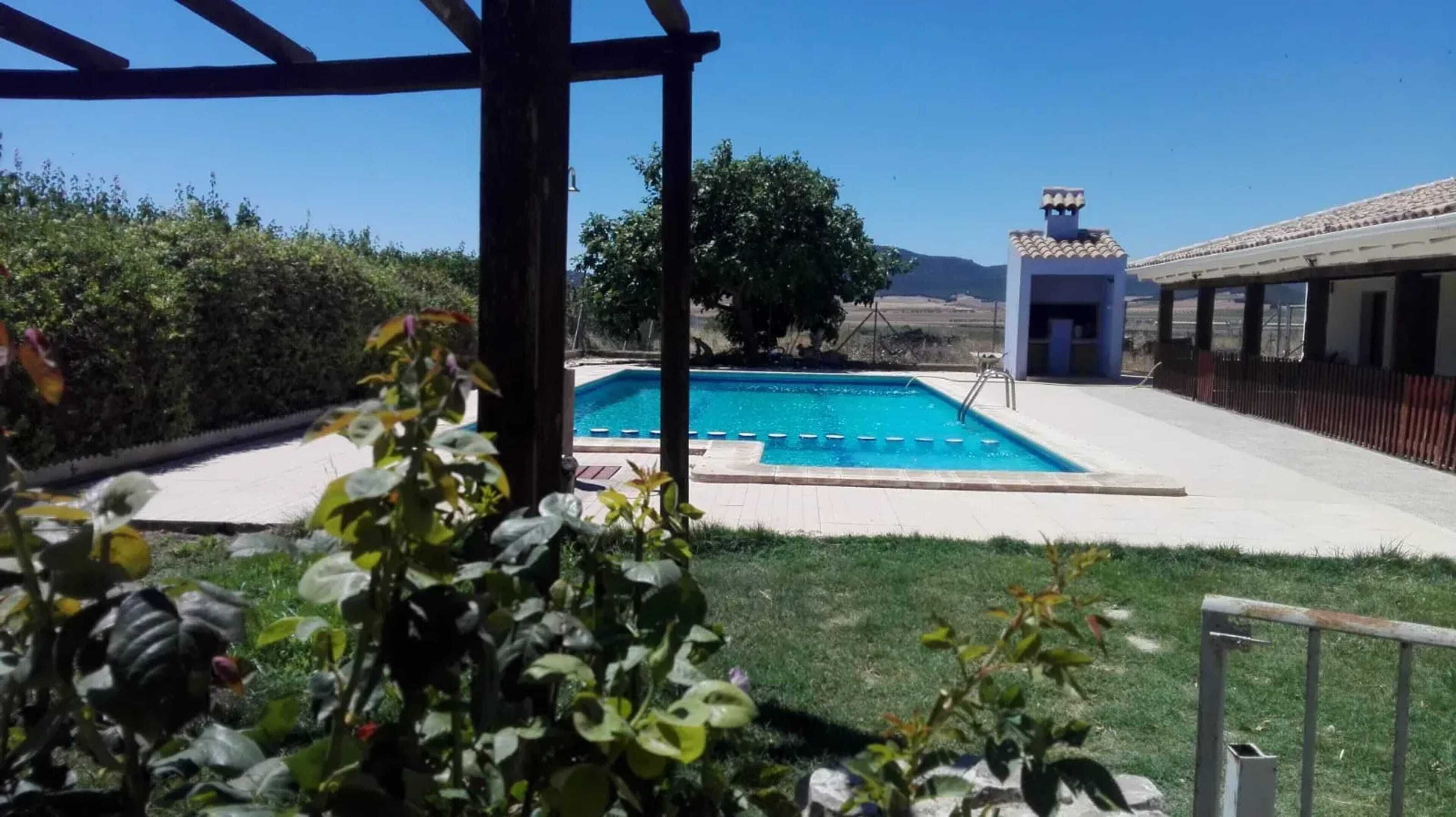 Swimming pool view