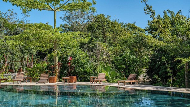 Una piscina nítida amb gandules i taules de fusta, envoltada de vegetació exuberanta.