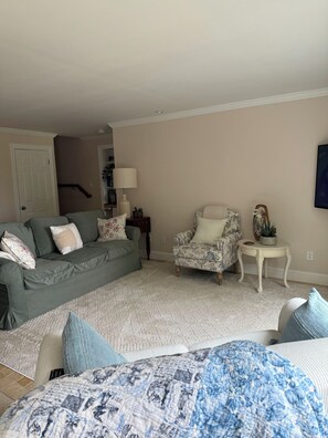 Smart TV, fireplace, books, computer monitors