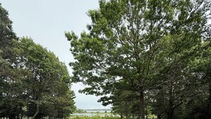 露台
