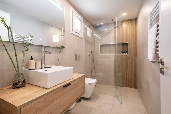 Hair dryer, towels, soap, toilet paper