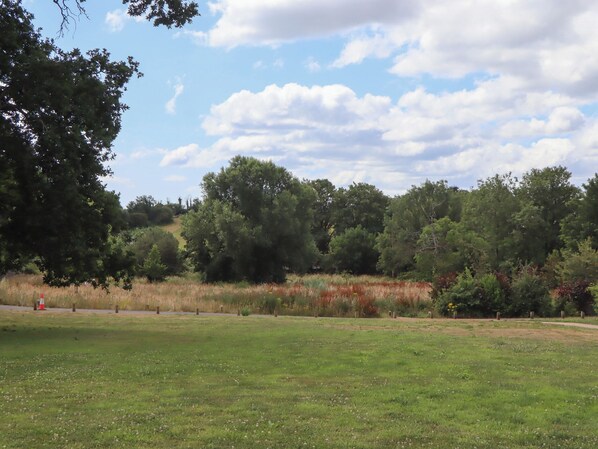 A grassy field with trees and a clear sky.