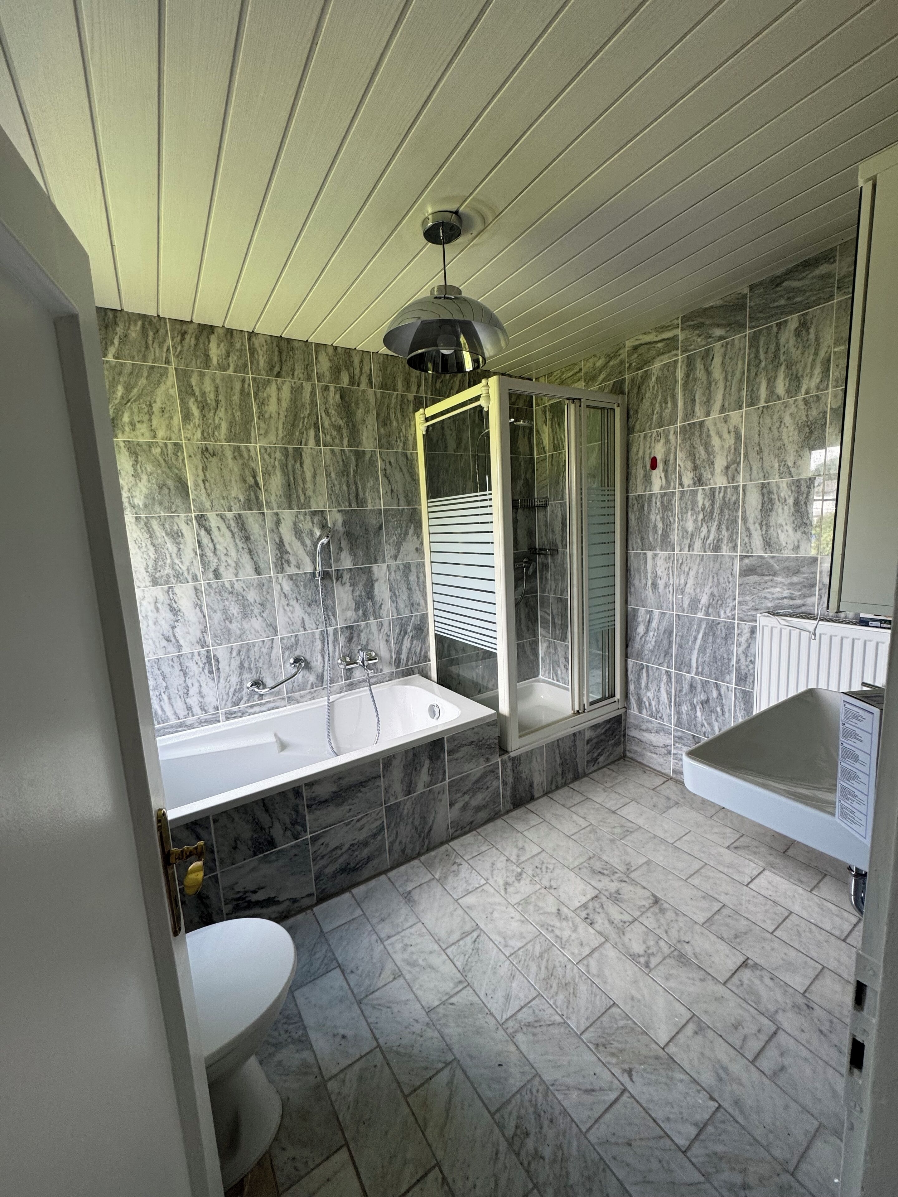 Shower, hair dryer, toilet paper