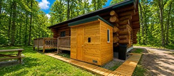 Stagecoach Inn Log Cabin 10 Acres Wooded Setting