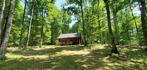 Exterior - Stagecoach Inn Log Cabin 10 Acres Wooded Setting (Beulah)