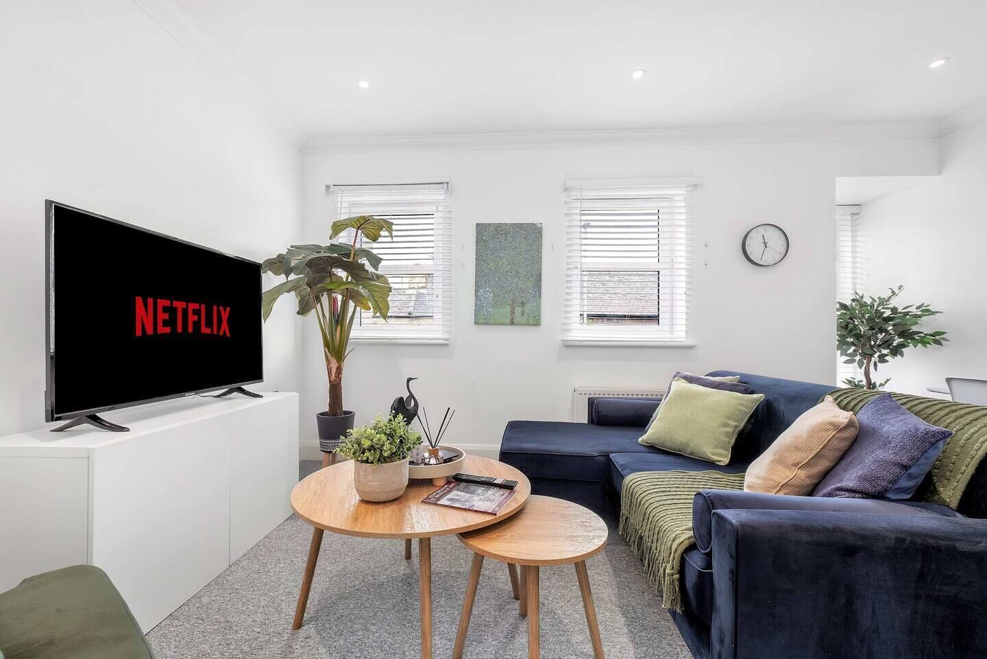 TV