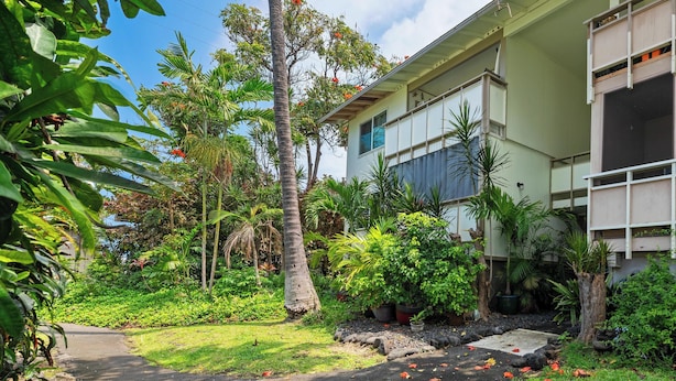 Un edificio con fachada verde, rodeado de exuberante vegetación tropical, incluyendo palmeras y diversas plantas.