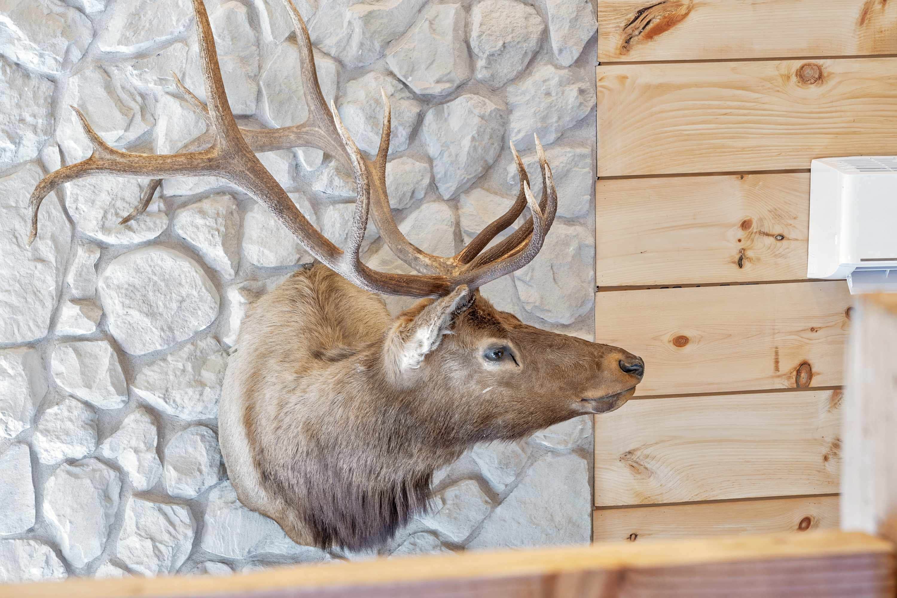 Cabeza de venado montada en una pared de piedra con textura y paneles de madera.