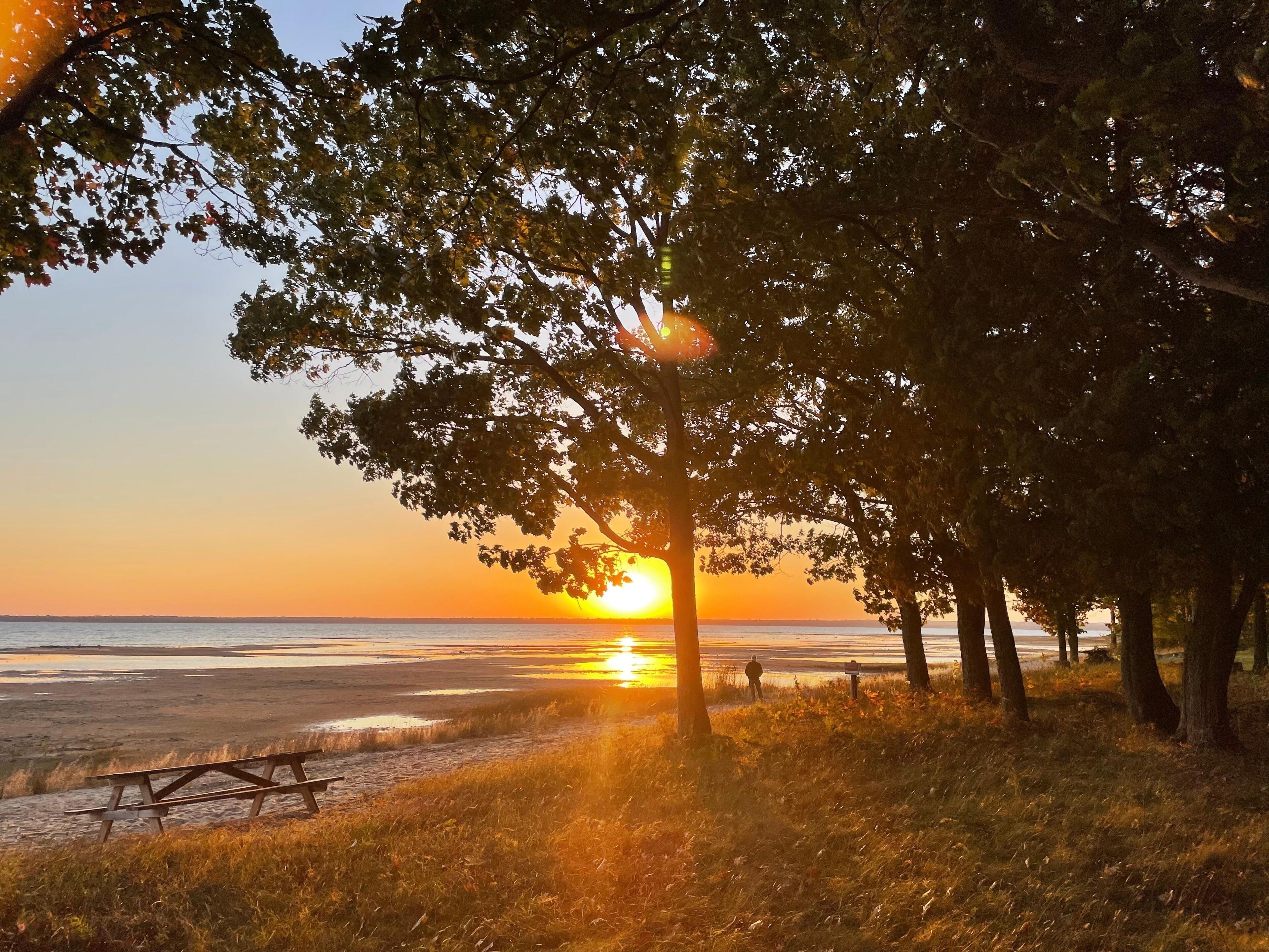 Une scène de plage avec un coucher de soleil, des arbres et une table de pique-nique.