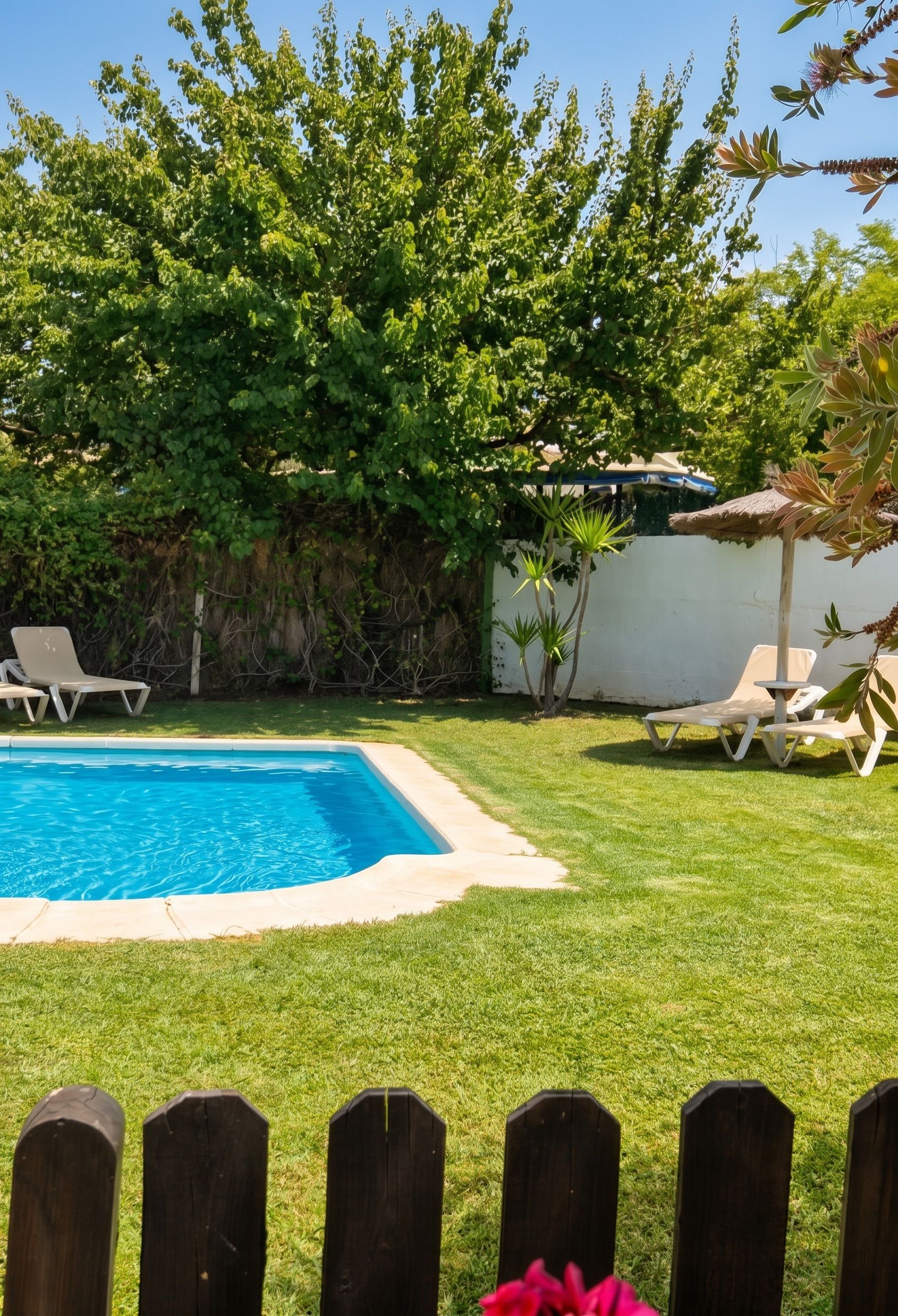 Swimming pool view