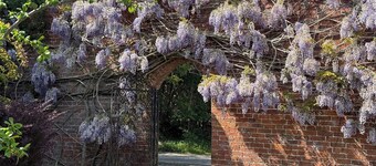 The Garden Hut