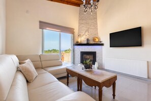 TV, fireplace, books