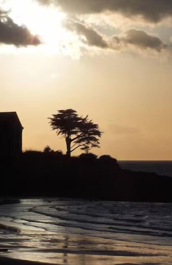 Beach - A friendly family get-together between sea and marsh (Assérac)