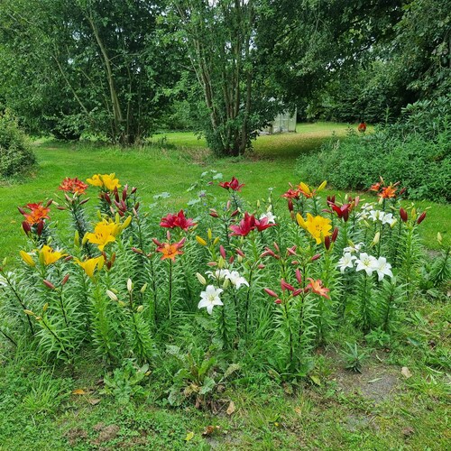 Great apartment with all equipment, in scenic surroundings, close to Legoland and more