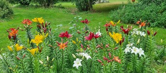 Great apartment with all equipment, in scenic surroundings, close to Legoland and more