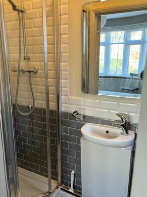 Shower, towels, toilet paper