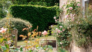 A garden with a variety of plants and flowers, including roses, and a stone wall. - Pickett Cottage - Pet friendly near Northleach (Northleach)