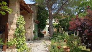 A rustic building with a stone facade, a wooden door, and a gravel pathway leading to a seating area with chairs and potted plants.