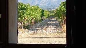 A window view of a vineyard with rows of grapevines and distant mountains.