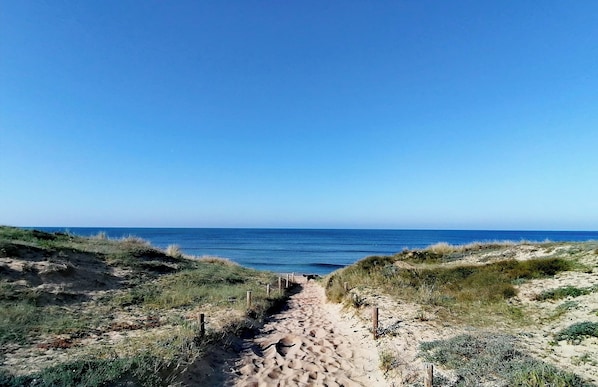 Plage