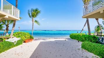 A beach pathway leading to a pool area with a view of the ocean.