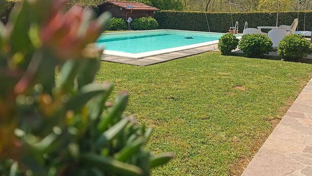 Una piscina con cubierta de madera, rodeada de un césped cuidado y con montañas al fondo.