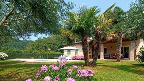 Un jardín con una terraza de madera, una planta grande en maceta con flores rosadas y una casa con un patio al fondo.