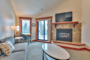 Smart TV, fireplace, DVD player, books