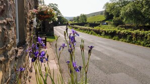 Un camino rural flanqueado por muros de piedra y macetas colgantes de flores.