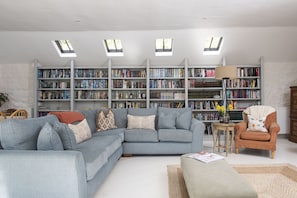 Smart TV, lareira, livros