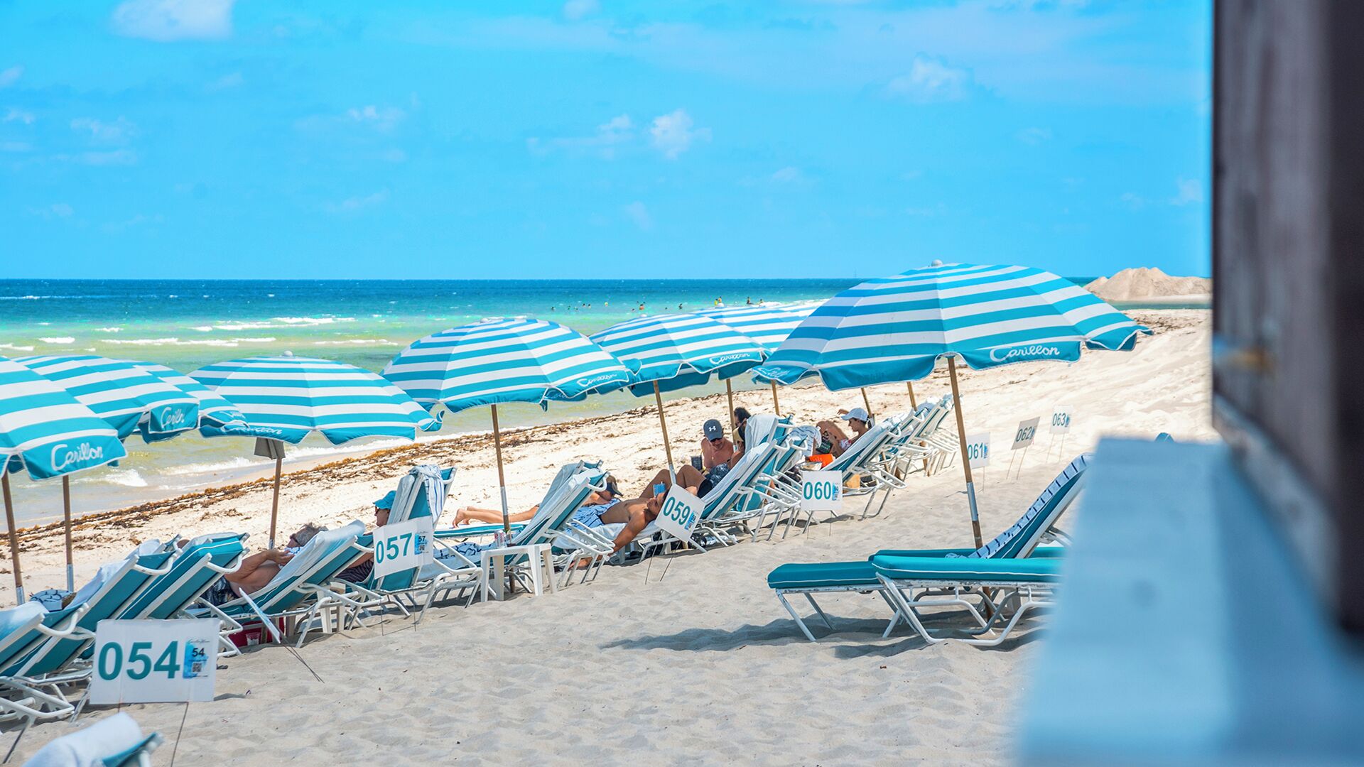 A beach with striped blue and white umbrellas, numbered lounge chairs, and a clear view of the ocean.