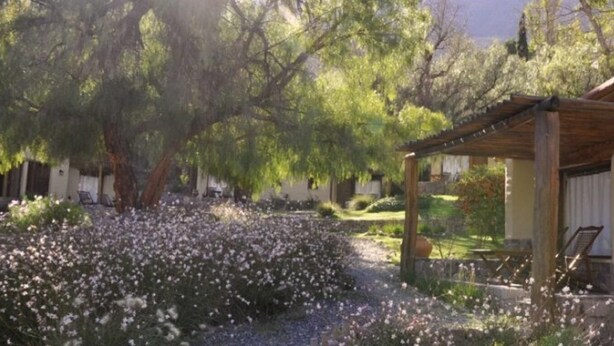 Un jardin agrémenté d’une pergola, d’un petit bâtiment et d’une variété d’arbres et de plantes.