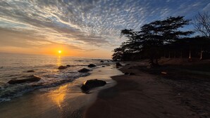 A beach with rocks and trees during sunset.