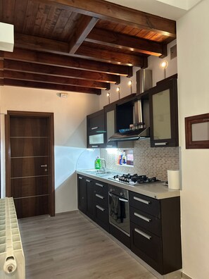 Fridge, oven, stovetop, cookware/dishes/utensils