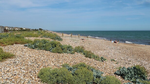 A pebbled beach with a clear sky, a few people, and buildings in the background. - Pebble Place (Littlehampton)