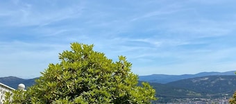 Lugar do Pombal (15min. away). From beaches and downtown Vigo)