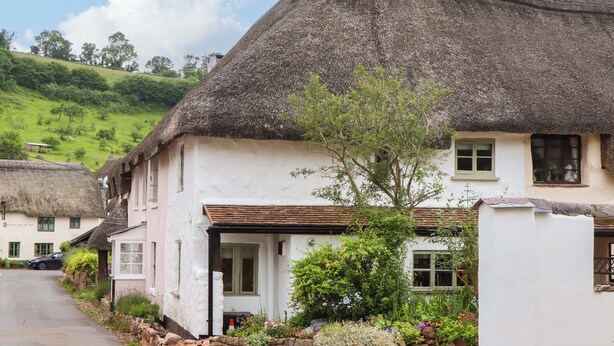 A traditional thatched-roof house with a white exterior, a stone foundation, and a small garden with various plants and flowers. - 1 Myrtle Cottages (Newton Abbot)
