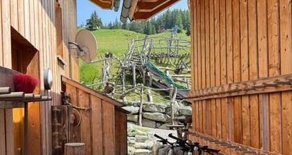 Gantekopfhütte myRelaxs vacation apartment Schwarzwaldschdub