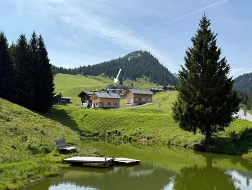 Gantekopfhütte  myRelaxs Ferienwohnung Schwarzwaldschdub