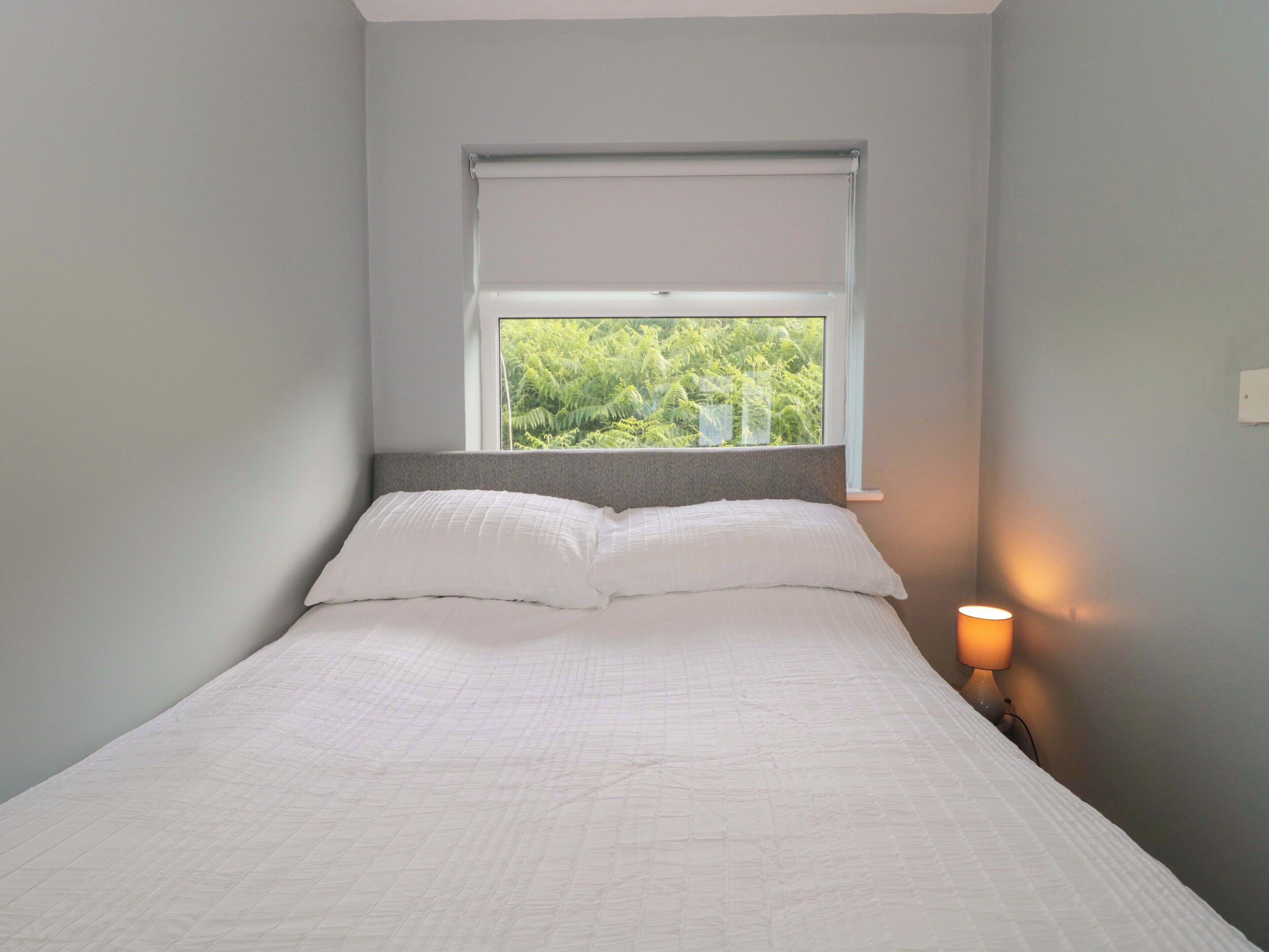 A single bed with white bedding, a window with a view of greenery, and a bedside lamp.