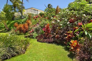 Property grounds - Stunning 270° Hapuʻu Mtn Views • Walk to Beach • Pool • A/C • Sleeps 12 • Ocean (Poipu)