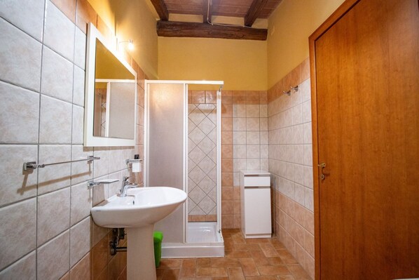 A bathroom with a sink, mirror, shower, and a wooden door.