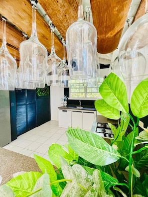 Villa Luxury | Cucina privata | Frigorifero nell'area comune, forno a microonde nell'area comune