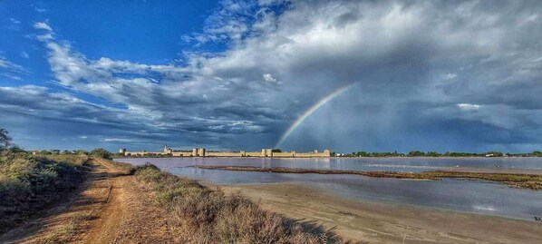 Beach - La COCARDIERE Room Breakfast included House SOL en CIEL (Aigues-Mortes)