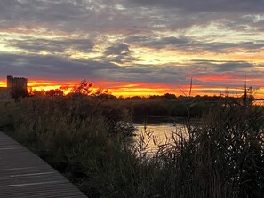 Miscellaneous - La COCARDIERE Room Breakfast included House SOL en CIEL (Aigues-Mortes)