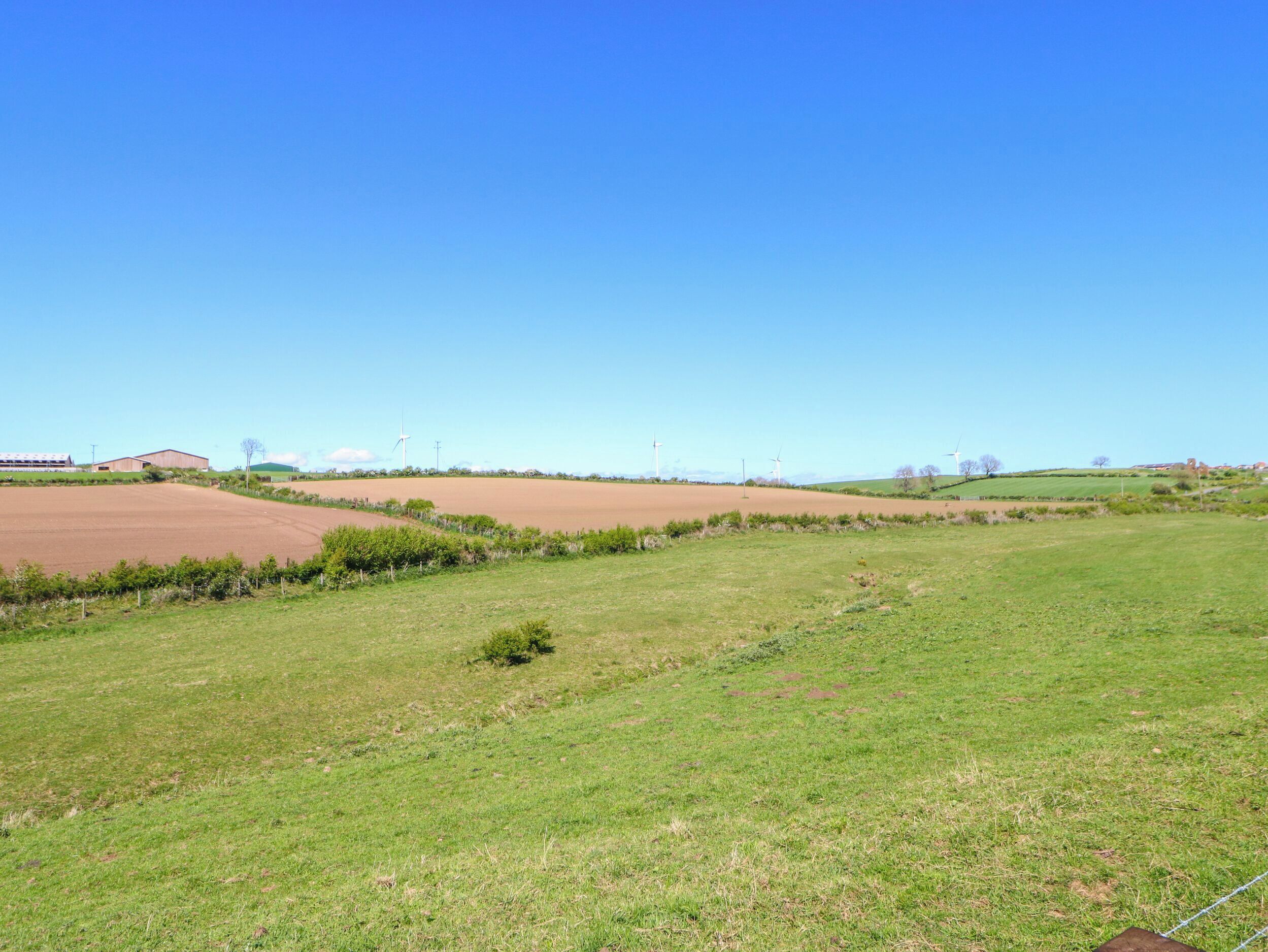 Paesaggio rurale con campi, una recinzione e turbine eoliche all'orizzonte.